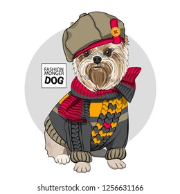 Vector dog with green hat, scarf and knitted jersey. Hand drawn illustration of dressed dog.