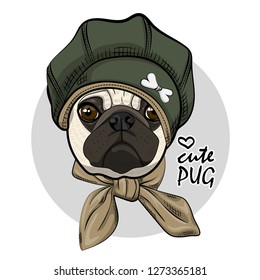 Vector dog with green hat and scarf. Hand drawn illustration of dressed pug.