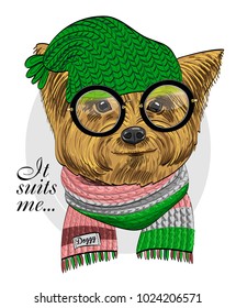 Vector dog with green knitted hat, glasses and scarf. Hand drawn illustration of dressed dog.
