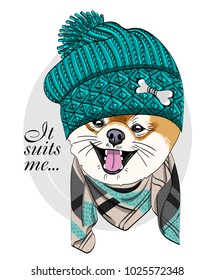 Vector dog with green knitted hat and scarf. Hand drawn illustration of dressed dog.