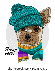 Vector dog with green knitted hat and scarf. Hand drawn illustration of dressed terrier.