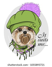 Vector dog with green knitted hat and scarf. Hand drawn illustration of dressed dog.