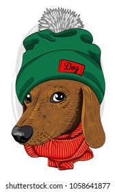 Vector dog with green knitted hat and red scarf. Hand drawn illustration of dressed dog.