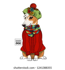 Vector dog with green knitted hat, checkered scarf and red pullover. Hand drawn illustration of dressed dog.