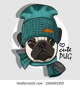 Vector dog with green knitted hat and scarf. Hand drawn illustration of dressed pug.