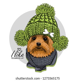Vector dog with green knitted hat and grey knitted scarf. Hand drawn illustration of dressed dog.