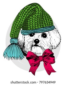 Vector dog with green knitted hat and scarf. Hand drawn illustration of dressed dog. 