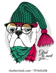 Vector dog with green knitted hat, glasses and scarf. Hand drawn illustration of dressed dog. 