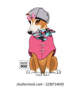 Vector dog with grey hat, checkered scarf and pink blouse. Hand drawn illustration of dressed dog.