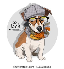 Vector dog with grey hat, glasses and knitted scarf. Hand drawn illustration of dressed Jack Russell terrier.