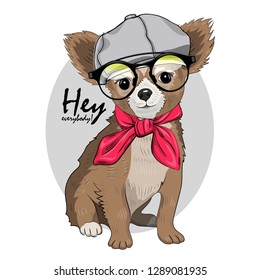 Vector dog with grey hat, glasses and red scarf . Hand drawn illustration of dressed chihuahua.