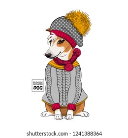 Vector dog with grey hat, red knitted scarf and grey pullover. Hand drawn illustration of dressed dog.