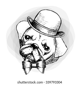 Vector dog in a grey hat and  tie. Pug on grey background.