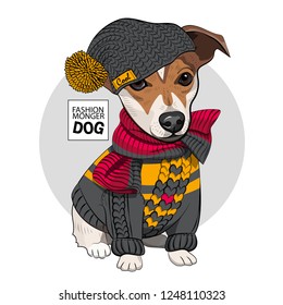 Vector dog with grey knitted hat, scarf and pullover. Hand drawn illustration of dressed Jack Russell terrier.