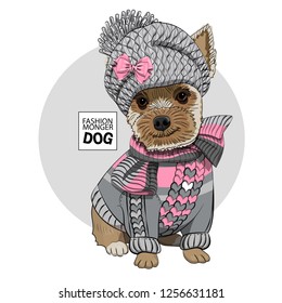 Vector dog with grey knitted hat, pink bow, scarf and knitted jersey. Hand drawn illustration of dressed dog.