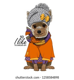 Vector dog with grey knitted hat, yellow bow, knitted scarf and orange blouse. Hand drawn illustration of dressed dog.