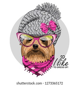 Vector dog with grey knitted hat, bow, glasses and pink scarf. Hand drawn illustration of dressed dog.