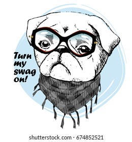 Vector dog with grey neckerchief and black glasses. Hand drawn illustration of dressed pug
