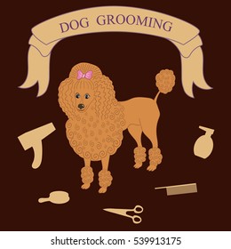 vector of dog grooming with red poodle