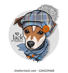 Vector dog with hat and blue scarf. Hand drawn illustration of dressed Jack Russell terrier.