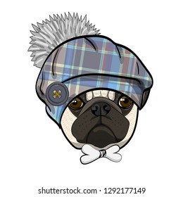 Vector dog with hat and bow. Hand drawn illustration of dressed pug.