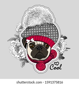 Vector dog with hat and flowers. Illustration of dressed pug. Vector illustration. Fashion cool dog. Print on T-shirts, bags and other fashion products. 