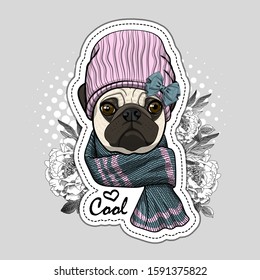 Vector dog with hat and flowers. Illustration of dressed pug. Vector illustration. Fashion cool dog. Print on T-shirts, bags and other fashion products. 