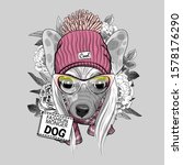 Vector dog with hat glasses and flowers. Illustration of dressed Chinese Crested Dog. Vector illustration. Fashion cool dog.