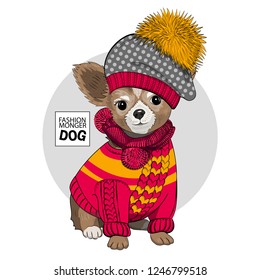 Vector dog with hat, knitted red scarf and knitted red pullover. Hand drawn illustration of dressed terrier.