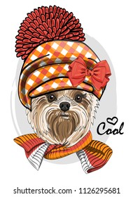 Vector  dog with hat and knitted scarf. Hand drawn illustration of dressed dog.