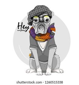 Vector dog with hat, knitted scarf and glasses. Hand drawn illustration of dressed bulldog.