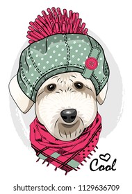 Vector dog with hat and pink scarf. Hand drawn illustration of dressed dog.