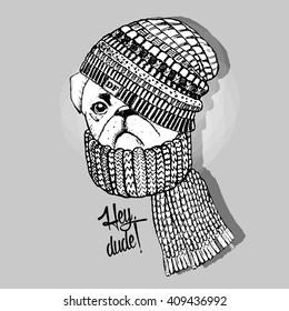 Vector dog in a hat. Pug in a knitted hat and scarf.