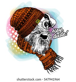 Vector dog in a hat and scarf with bow. Hand drawn illustration of dressed dog.