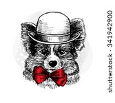 Vector dog in a hat. Terrier with red bow. Hand-drawing gel pen.