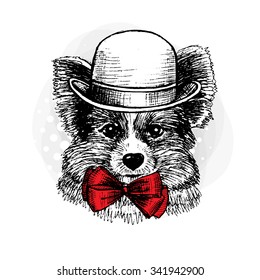 Vector dog in a hat. Terrier with red bow. Hand-drawing gel pen.