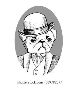 Vector dog in a  hat and  tie. Pug in tuxedo.