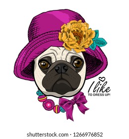 Vector dog with hat, yellow flower and nacklace. Hand drawn illustration of dressed pug.