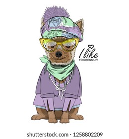 Vector dog with hat, yellow glasses, green scarf and violet blouse. Hand drawn illustration of dressed dog.