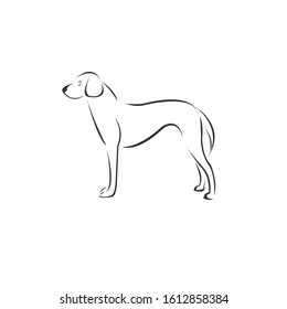 Vector Dog Head Black and White Logo, Sign, Design. symbol. Mammals. Illustrator. on white background