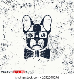 Vector dog head, hipster face  on grunge background
