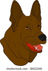 vector - dog head isolated on background