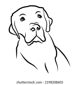 Vector of a dog head Labrador Retriever on white background. Dogs logo or icon