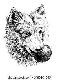 Vector of a dog head on white background, Pet. Animals.