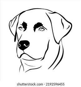 Vektorhund Kopf Labrador Retriever. Labrador Retriever Hunde Kopfgrafik. minimales Design auf weißem Hintergrund.