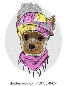 Vector dog with knitted hat and green scarf. Hand drawn illustration of dressed dog.