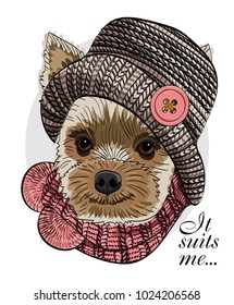 Vector dog with knitted hat and pink scarf. Hand drawn illustration of dressed dog.