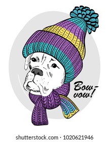 Vector dog with knitted hat and scarf. Hand drawn illustration of dressed dog.