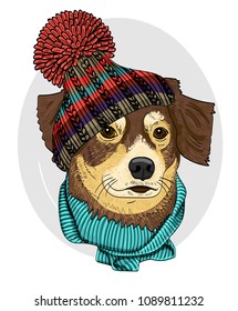 Vector dog with knitted hat and scarf. Hand drawn illustration of dressed dog.