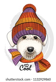 Vector dog with knitted hat and knitted scarf. Hand drawn illustration of dressed dog.